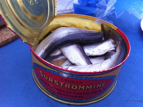 the smelliest fish in the world|Swedish Surströmming: The Worlds Smelliest Food